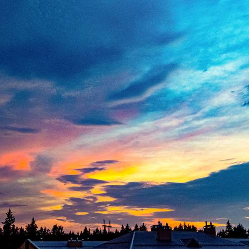 Photo #12516402