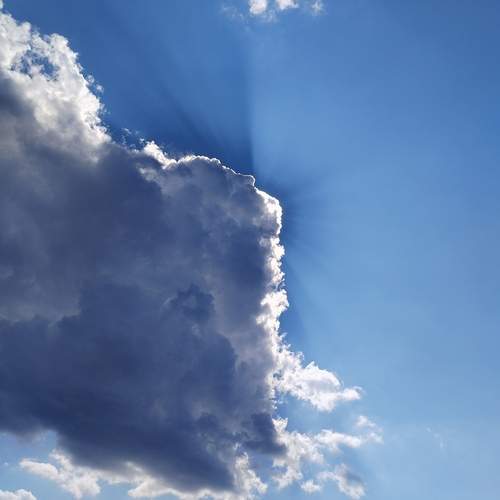 Photo #12516428