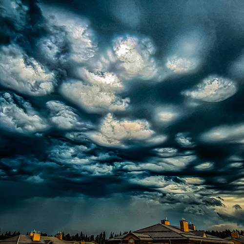Photo #12516436