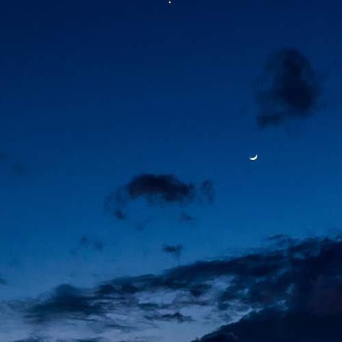 Photo #12516491