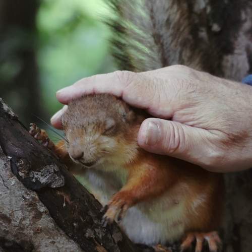 Photo #12516542