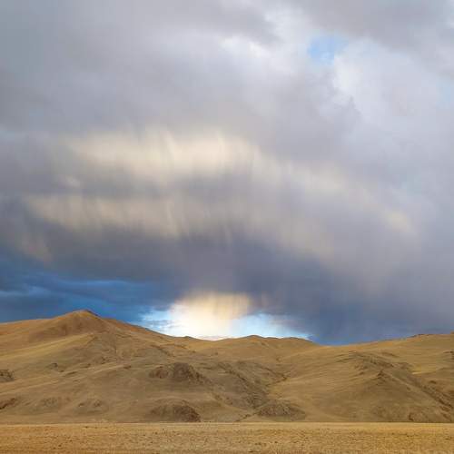 Photo #12516572