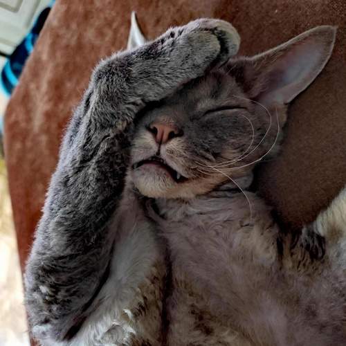 Photo #12516637