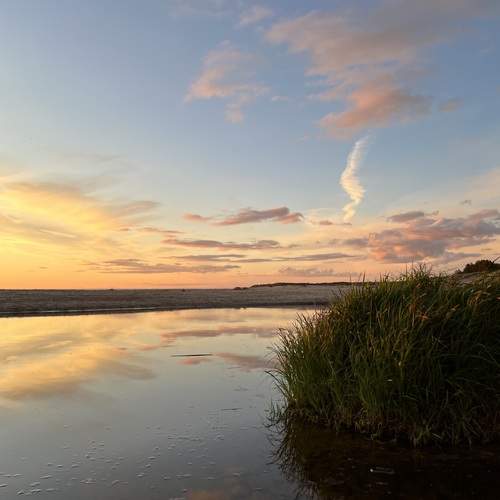 Photo #12516673