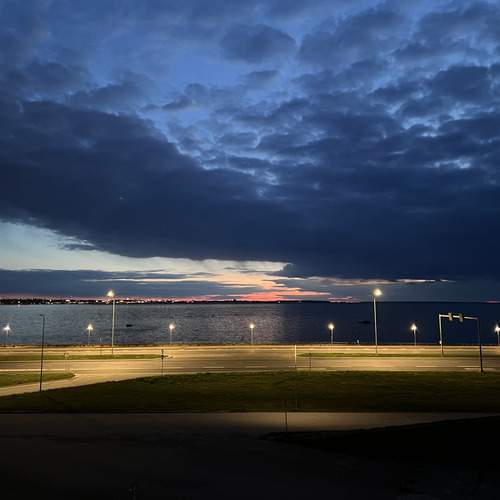 Photo #12516675
