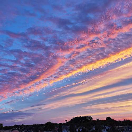 Photo #12516700