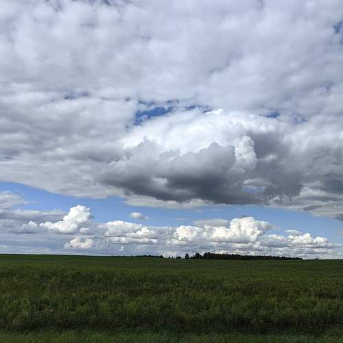 Photo #12516864