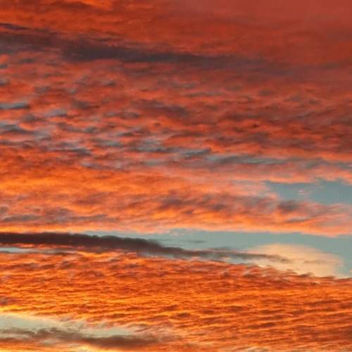 Photo #12516989