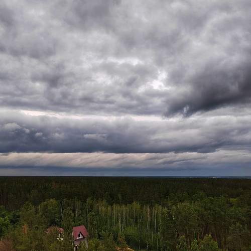 Photo #12517032
