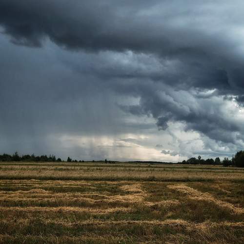 Photo #12517034