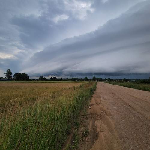 Photo #12517035