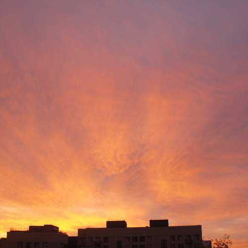 Photo #12517038
