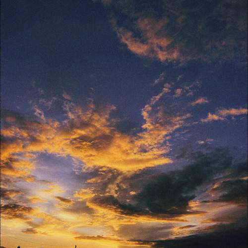 Photo #12517091