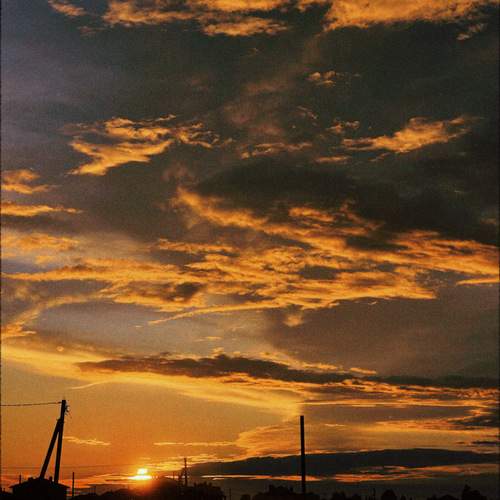 Photo #12517092