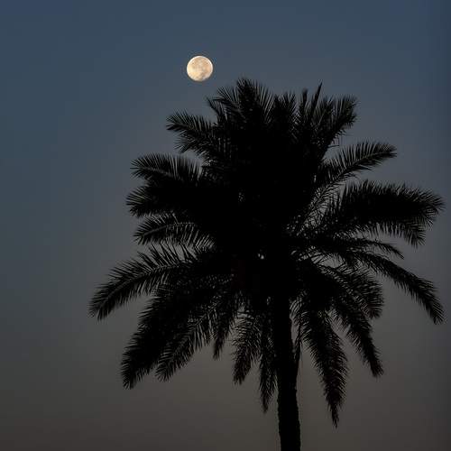 Photo #12517096