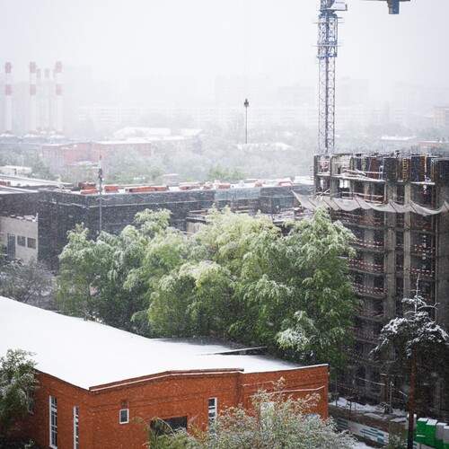 Photo #12517128