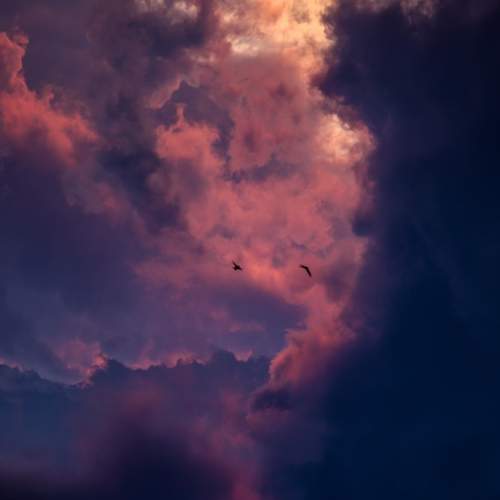 Photo #12517331
