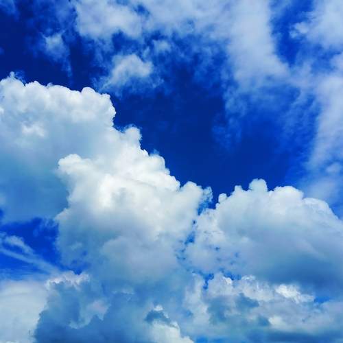 Photo #12517391