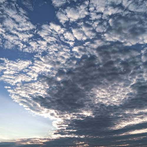 Photo #12517551