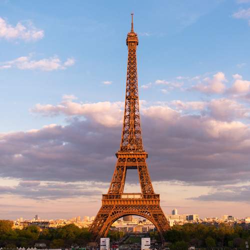 Photo #12517626