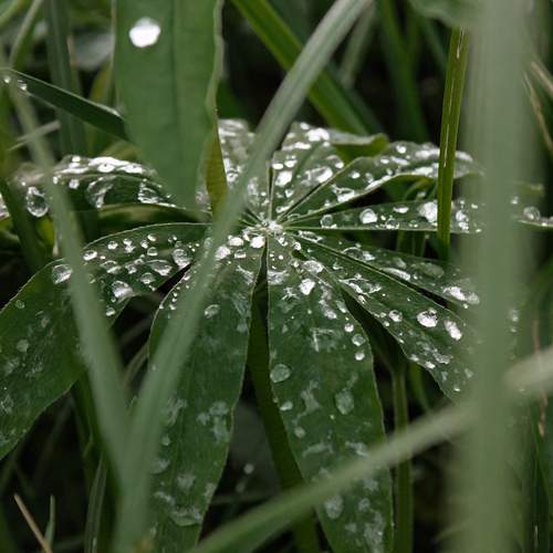 Photo #12517746