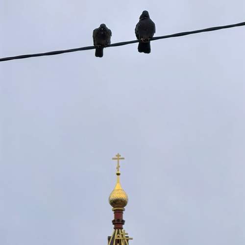 Верю-не верю
