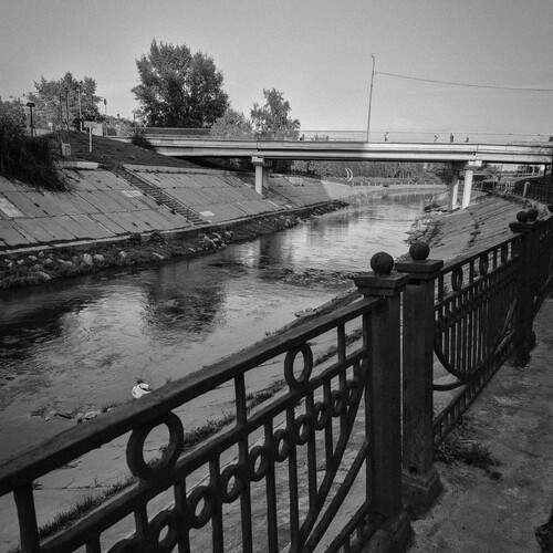 Photo #12517850