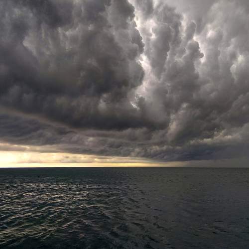Photo #12517882
