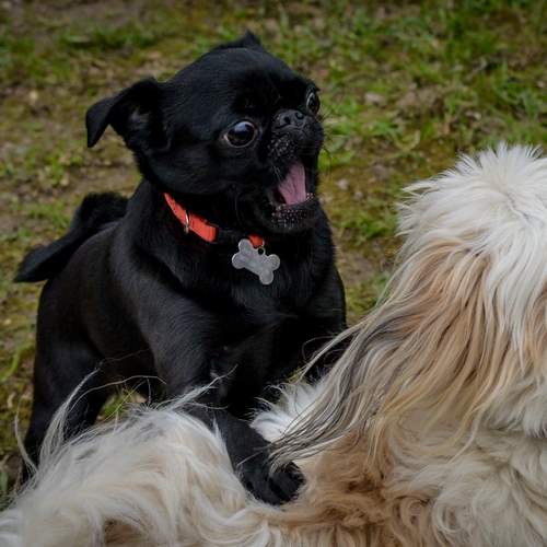 Photo #12517917