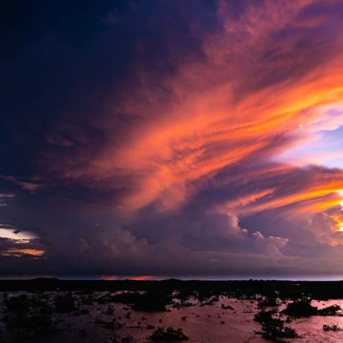 Фотография #12518088