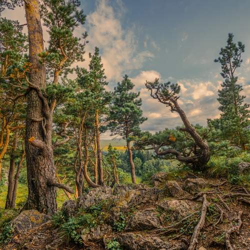 Photo #12518176
