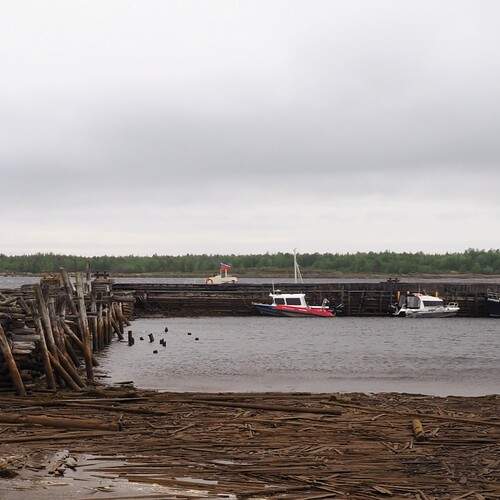 Photo #12518182