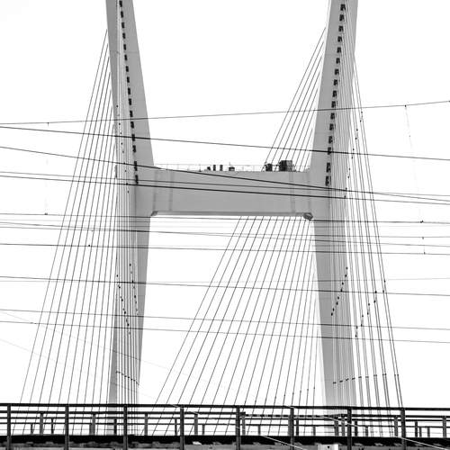 Photo #12518209