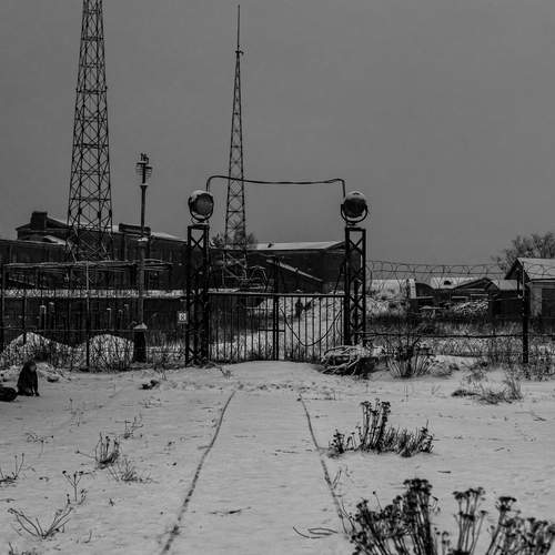 Photo #12518211