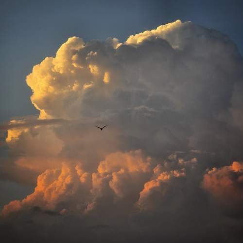 Photo #12518239