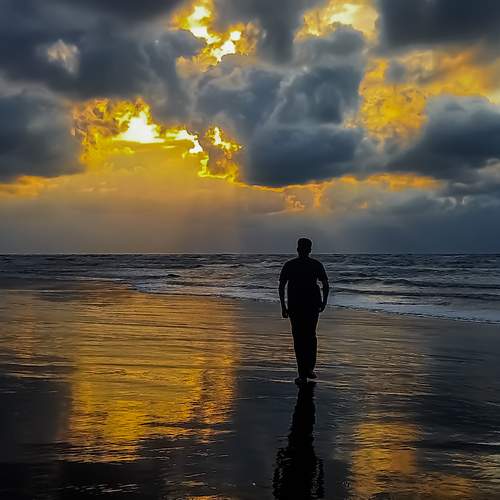 Photo #12518273