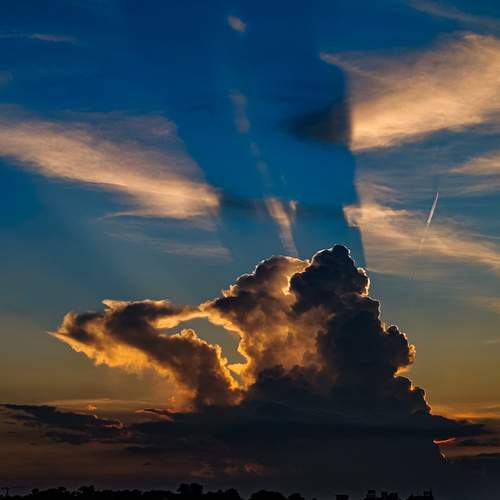 Photo #12518329