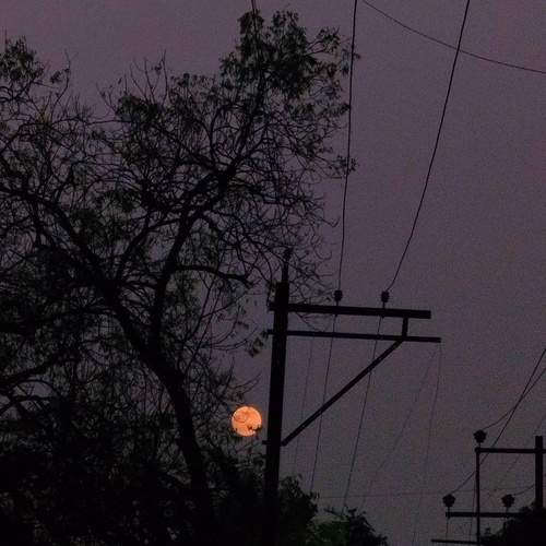 Photo #12518382