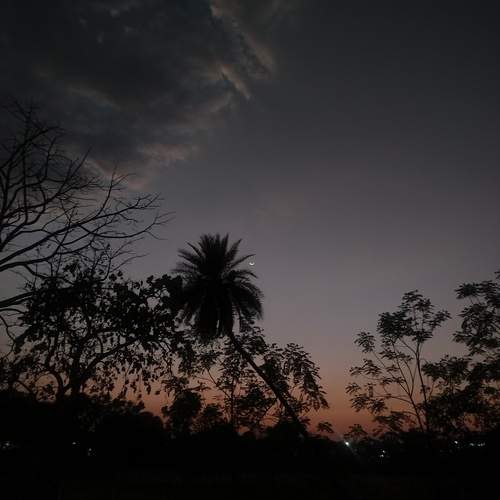 Photo #12518383