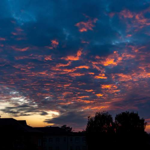 Photo #12518524