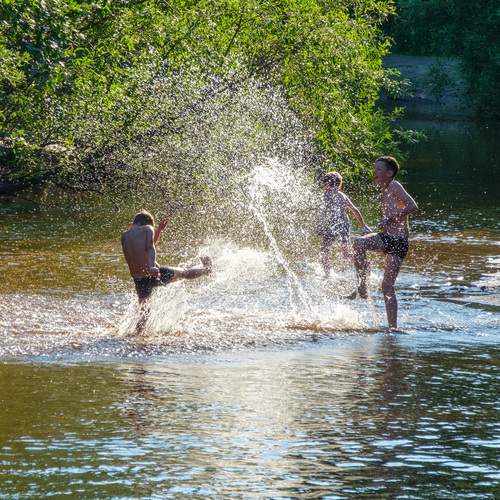 Photo #12518662