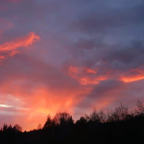 Photo #12518664