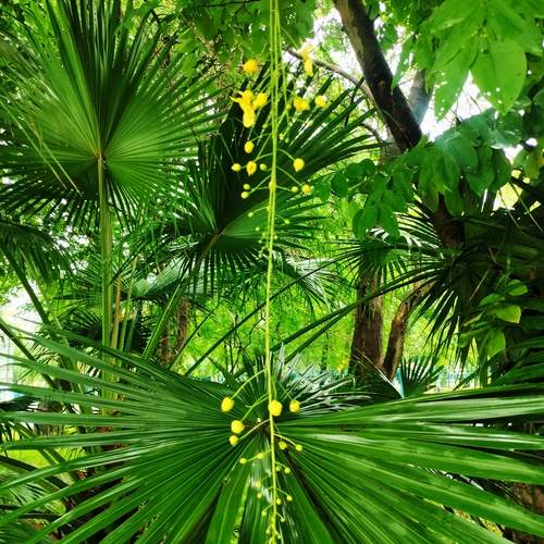 Photo #12518713