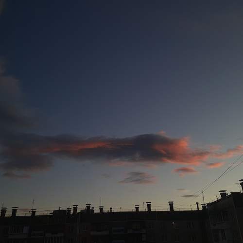 Photo #12518754