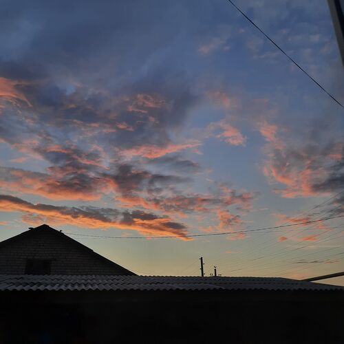 Photo #12518755