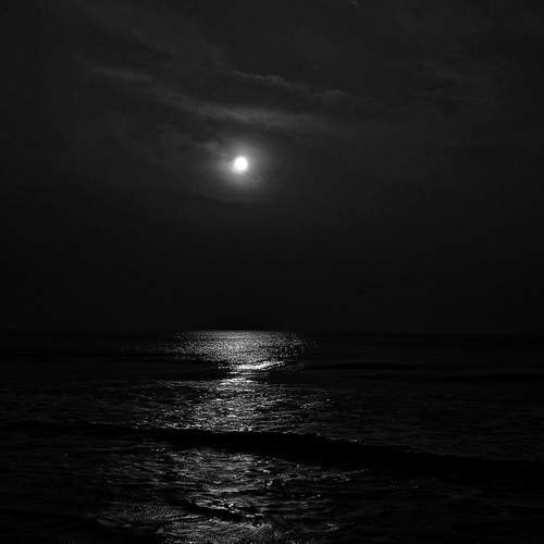 Shining Moonlight on seascape