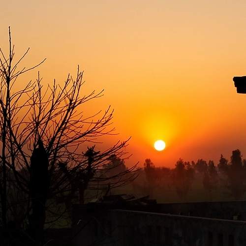 Photo #12518766