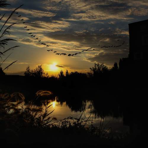 Photo #12518806