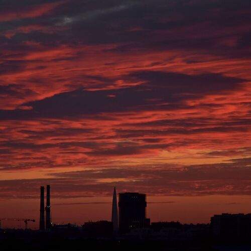 Photo #12518822