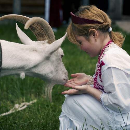 Photo #12518828